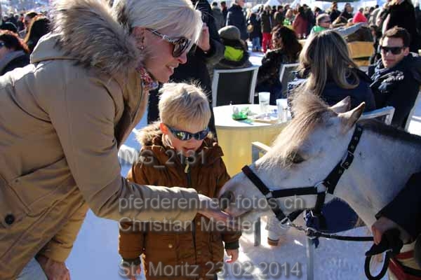 IMG 2131 prot